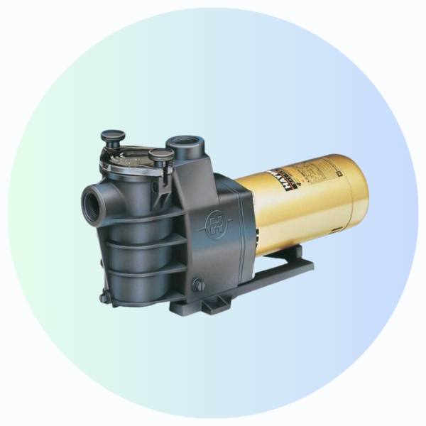 طلمبات حمامات السباحة Pool Pumps